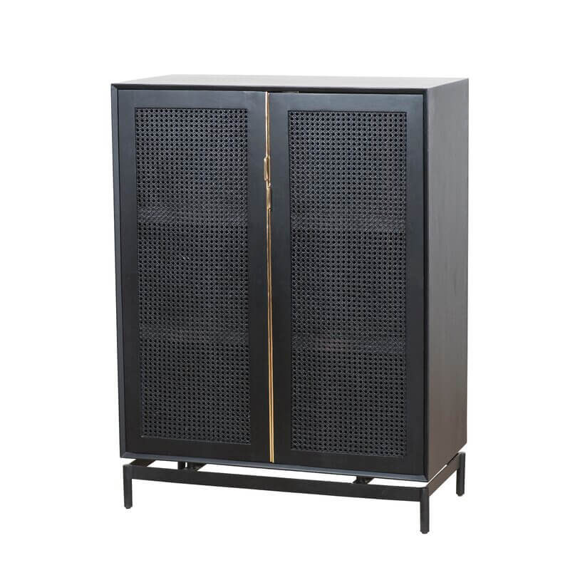 2 Door Black Cabinet