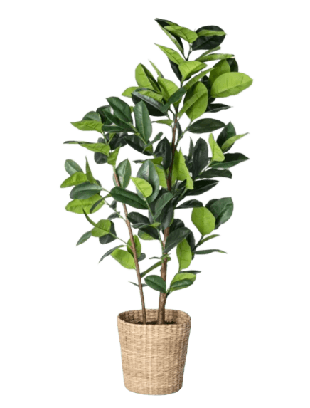 Artificial Rubber Leaf Tree