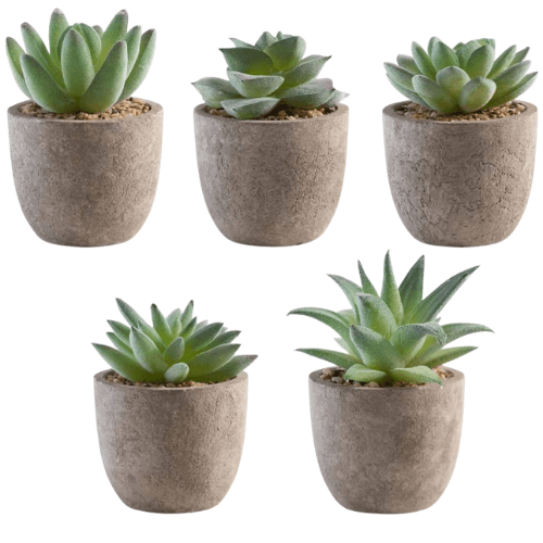 Faux Mini Succulent Plant Set