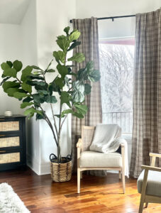 Window with curtains chair and plant